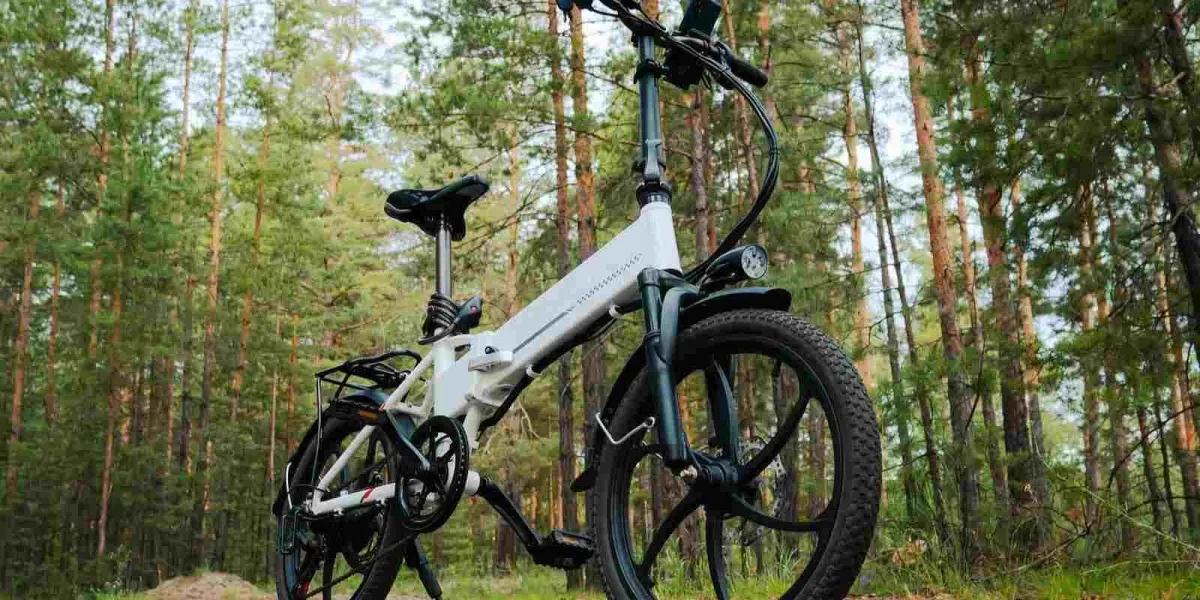 Bicicleta Electrica 3